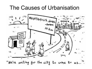 The Causes of Urbanisation
 