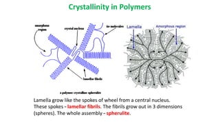 Crystallinity in Polymers
Lamella grow like the spokes of wheel from a central nucleus.
These spokes – lamellar fibrils. The fibrils grow out in 3 dimensions
(spheres). The whole assembly – spherulite.
 