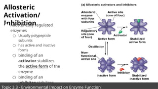 Unit 3 Cellular energetic AP biology unit 3 | PPTX