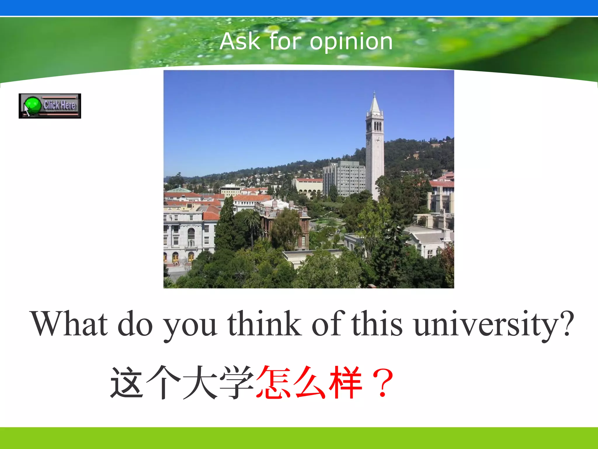Ask for opinion




What do you think of this university?
     这个大学怎么样？
 