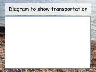Diagram to show transportation
 