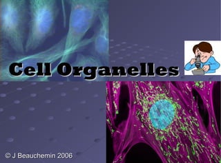 Cell OrganellesCell Organelles
© J Beauchemin 2006© J Beauchemin 2006
 