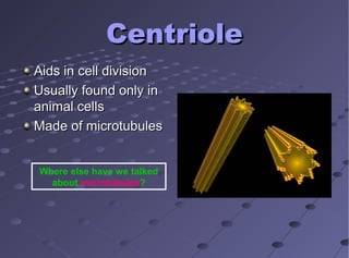 CentrioleCentriole
Aids in cell divisionAids in cell division
Usually found only inUsually found only in
animal cellsanimal cells
Made of microtubulesMade of microtubules
Where else have we talked
about microtubules?
 