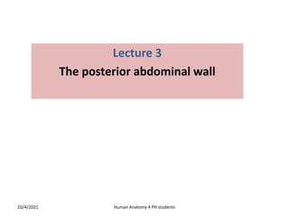 Lecture 3
The posterior abdominal wall
10/4/2021 Human Anatomy 4 PH students
 