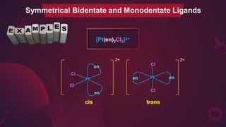 Symmetrical Bidentate and Monodentate Ligands
2+
2+
[Pt(en)2Cl2]2+
cis trans
 