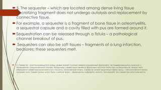 L3. Necrosis.pptx pathology anatomy skma | PPTX