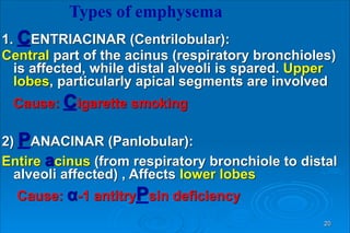  
1. CENTRIACINAR (Centrilobular):
Central part of the acinus (respiratory bronchioles)
is affected, while distal alveoli is spared. Upper
lobes, particularly apical segments are involved
Cause: Cigarette smoking
2) PANACINAR (Panlobular):
Entire acinus (from respiratory bronchiole to distal
alveoli affected) , Affects lower lobes
Cause: α-1 antitryPsin deficiency
Types of emphysema
20
 