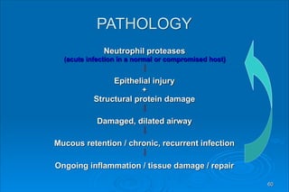 PATHOLOGY
Neutrophil proteases
(acute infection in a normal or compromised host)
⇩
Epithelial injury
+
Structural protein damage
⇩
Damaged, dilated airway
⇩
Mucous retention / chronic, recurrent infection
⇩
Ongoing inflammation / tissue damage / repair
60
 