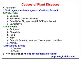 Causes of Plant Diseases
A. Parasites
i. Biotic agents/ Animate agents/ Infectious/ Parasitic
1. Prokaryotes
a. Bacteria
b. Fastidious Vascular Bacteria
c. Candidatus Phytoplasma (MLO/ Phytoplasma)
d. Spiroplasma
2. Eukaryotes
a. Protozoa
b. Chromista
b. Fungi
c. Algae
d. Parasitic flowering plants or phanerogamic parasites
e. Animals
ii. Mesobiotic agents
1. Viruses
2. Viroids
B. Non-parasitic or Abiotic agents/ Non-infectious/
physiological disorder
 