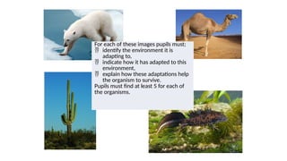 Biology-ecology-Ecology-Adaptations.pptx
