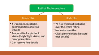 Lesson 3- Elements of visual perception.pptx