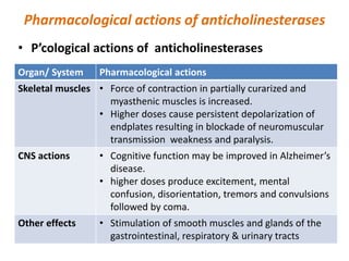 Pharmacological actions of anticholinesterases
• P’cological actions of anticholinesterases
Organ/ System Pharmacological actions
Skeletal muscles • Force of contraction in partially curarized and
myasthenic muscles is increased.
• Higher doses cause persistent depolarization of
endplates resulting in blockade of neuromuscular
transmission weakness and paralysis.
CNS actions • Cognitive function may be improved in Alzheimer’s
disease.
• higher doses produce excitement, mental
confusion, disorientation, tremors and convulsions
followed by coma.
Other effects • Stimulation of smooth muscles and glands of the
gastrointestinal, respiratory & urinary tracts
 