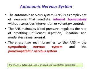 Autonomic Nervous System
• The autonomic nervous system (ANS) is a complex set
of neurons that mediate internal homeostasis
without conscious intervention or voluntary control.
• The ANS maintains blood pressure, regulates the rate
of breathing, influences digestion, urination, and
modulates sexual arousal.
• There are two main branches to the ANS – the
sympathetic nervous system and the
parasympathetic nervous system.
The effects of autonomic control are rapid and essential for homeostasis
 