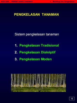 AGR 3506  :  PRINSIP SAINS TANAMAN   1.  Morfologi dan Pengkelasan 1.  Pengkelasan Tradisional Sistem pengkelasan tanaman 2.  Pengkelasan Diskriptif 3.  Pengkelasan Moden PENGKELASAN  TANAMAN 15 