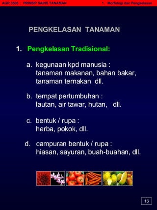 AGR 3506  :  PRINSIP SAINS TANAMAN   1.  Morfologi dan Pengkelasan 16 1.  Pengkelasan Tradisional: a.  kegunaan kpd manusia : tanaman makanan, bahan bakar, tanaman ternakan  dll. b.  tempat pertumbuhan : lautan, air tawar, hutan,  dll. c.  bentuk / rupa : herba, pokok, dll. d.  campuran bentuk / rupa : hiasan, sayuran, buah-buahan, dll. PENGKELASAN  TANAMAN 