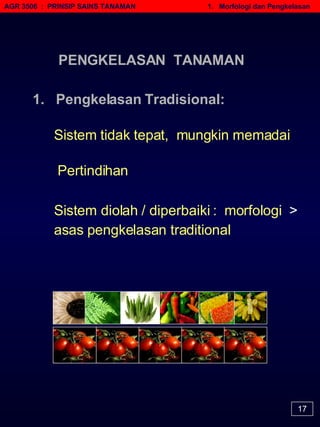 AGR 3506  :  PRINSIP SAINS TANAMAN   1.  Morfologi dan Pengkelasan 17 Sistem tidak tepat,  mungkin memadai Sistem diolah / diperbaiki :  morfologi  >   asas  pengkelasan traditional Pertindihan 1.  Pengkelasan Tradisional: PENGKELASAN  TANAMAN 