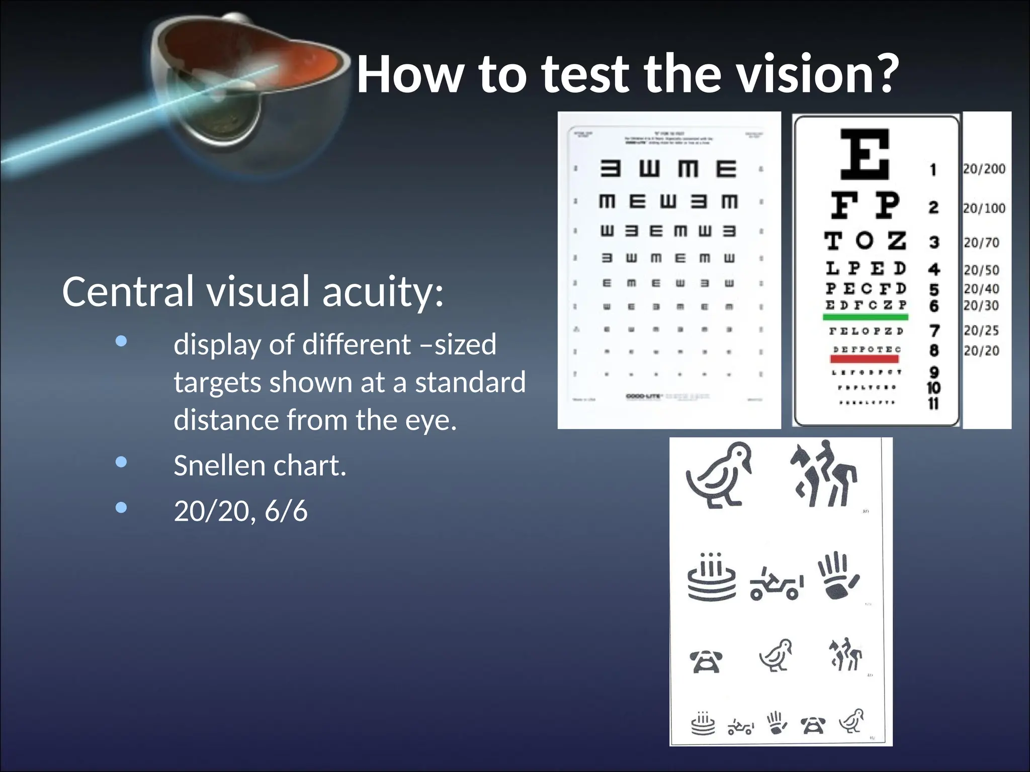 How to test the vision?
Central visual acuity:
• display of different –sized
targets shown at a standard
distance from the eye.
• Snellen chart.
• 20/20, 6/6
 