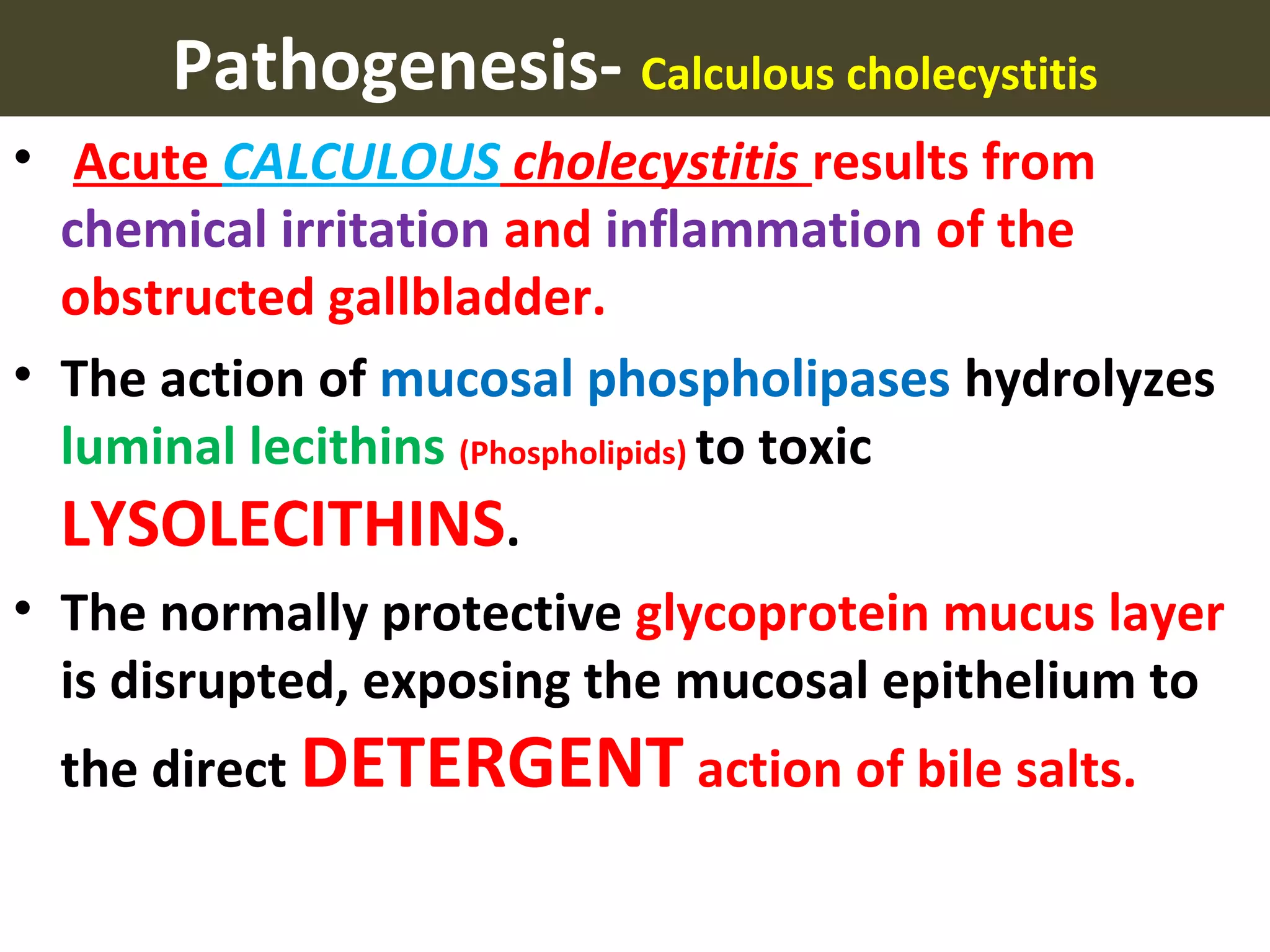 L31 cholecystitis students | PPT