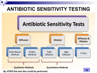 Medical Microbiology Laboratory (Antibiotics Sensitivity Testing) | PPT
