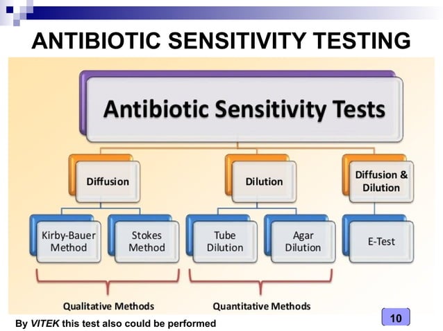 Medical Microbiology Laboratory (Antibiotics Sensitivity Testing) | PPT