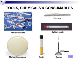 Medical Microbiology Laboratory (Antibiotics Sensitivity Testing) | PPT