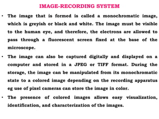 electron microscopy tem