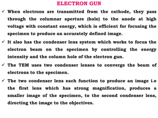 electron microscopy tem