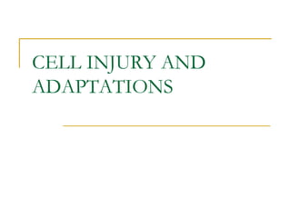 CELL INJURY AND
ADAPTATIONS
 