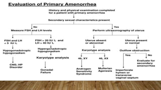 L47 Amenorrhea