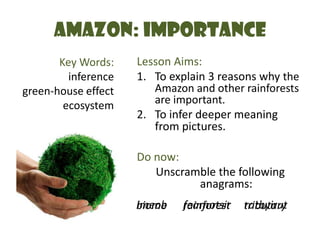 Amazon: Importance Key Words: inference green-house effect ecosystem Lesson Aims: To explain 3 reasons why the Amazon and other rainforests are important. To infer deeper meaning from pictures. Do now: Unscramble the following anagrams: imeobfearnotsirratbyirut biome      rainforest     tributary 