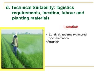 d. Technical Suitability: logistics
requirements, location, labour and
planting materials
Location
• Land: signed and registered
documentation.
•Strategic
 