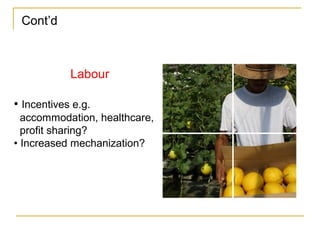 Cont’d
Labour
• Incentives e.g.
accommodation, healthcare,
profit sharing?
• Increased mechanization?
 