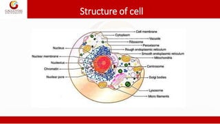 Structure of cell
 