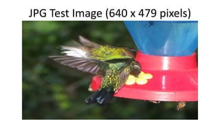 JPG Test Image (640 x 479 pixels)
 