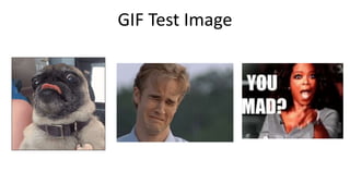 GIF Test Image
 
