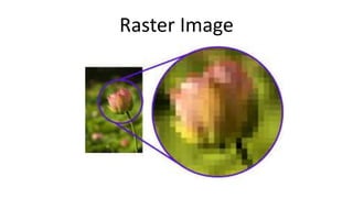 Raster Image
 