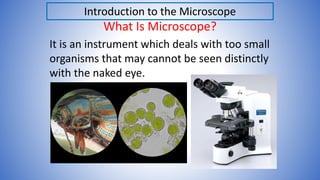 L3_BIOLOGY I-BIOL 231-microscopy and resolution.pdf
