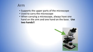 L3_BIOLOGY I-BIOL 231-microscopy and resolution.pdf