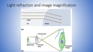 Refraction In Microscope L3_BIOLOGY I-BIOL 231-microscopy and resolution.pdf