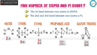Comprehensive Overview of Chemical Bonding: Covalent, Sigma, and Pi ...