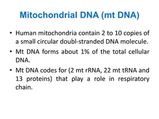L3 DNA organization,_ Octamer and .pptx