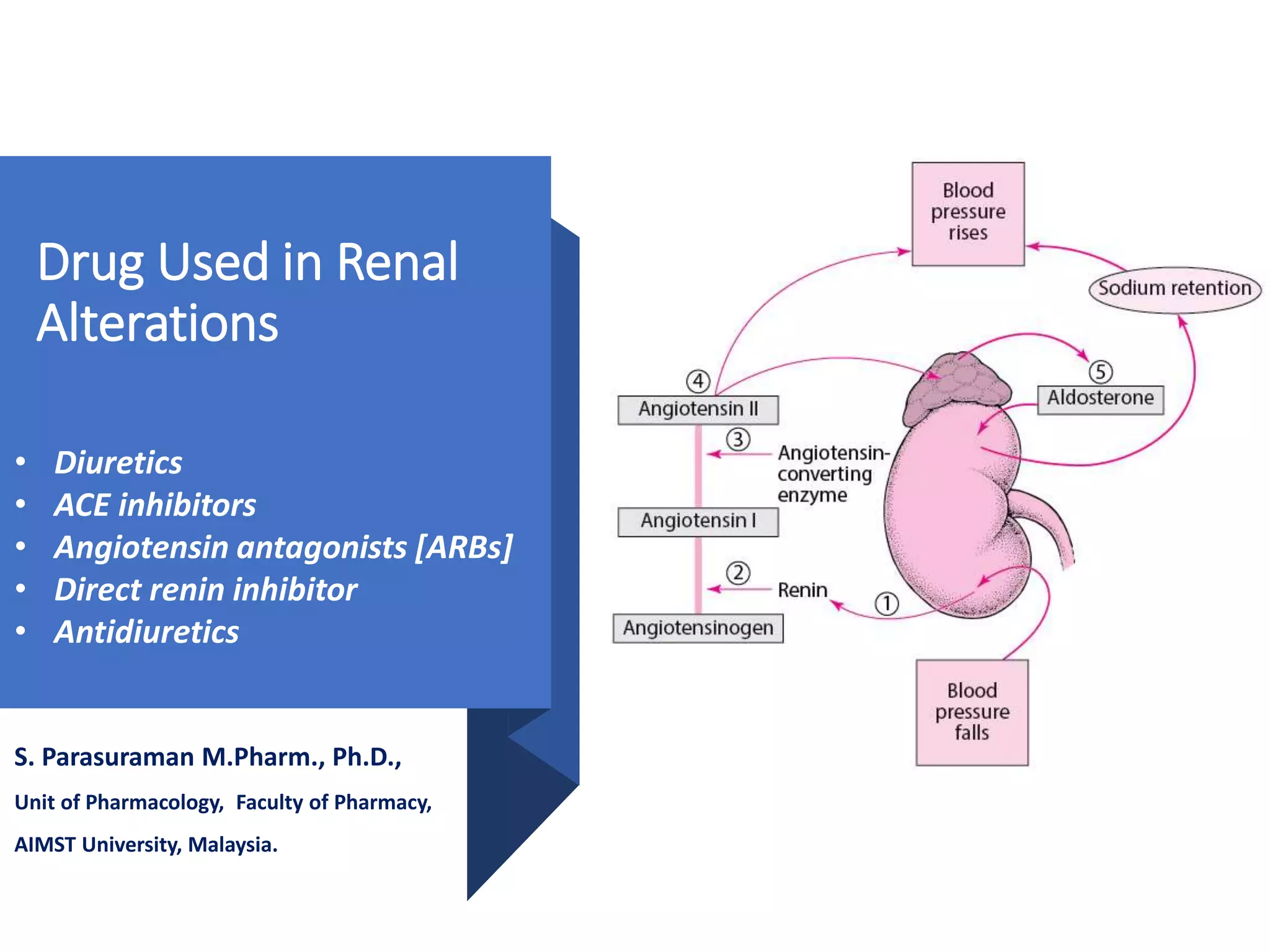 Drugs Used in Renal Alteration | PPTX