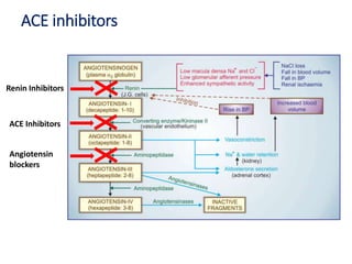 Drugs Used in Renal Alteration | PPTX