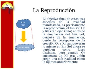 La ReproducciónEl objetivo final de estos tres aspectos de la realidad manifestada, es precisamente la reproducción, el Einsof, Or y Klieran ejad (uno) antes de la emanación del EinSof, después de la emanación, desde la percepción de la creación Or y Kli aunque eran lo mismo en EinSof ahora se perciben como luces distintas, pero cuando Or encuentra un Kli esa unión crean una sub realidad como lo dijimos anteriormente.EIN SOFNESHAMA