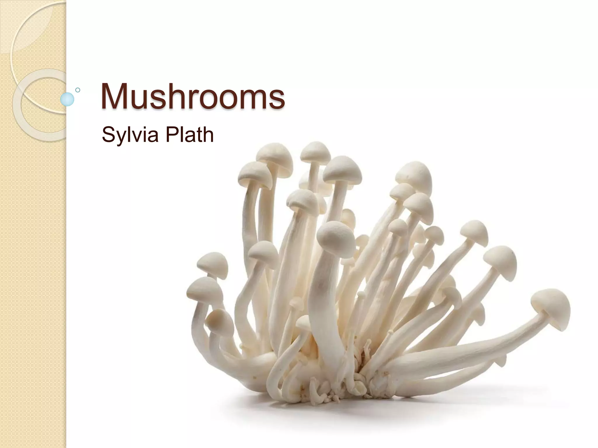 Mushrooms Sylvia Plath PPT