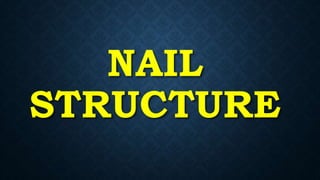 NAIL
STRUCTURE
 
