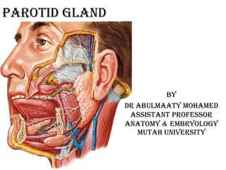 PAROTID GLAND
By
Dr Abulmaaty Mohamed
Assistant professor
Anatomy & Embryology
Mutah University
 