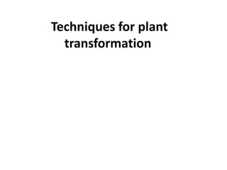 Techniques for plant
transformation
 