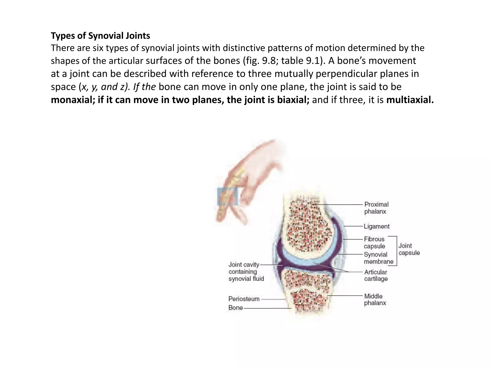 Types of Synovial JointsThere are six types of synovial joints with distinctive patterns of motion determined by the shapes of the articularsurfaces of the bones (fig. 9.8; table 9.1). A bone’s movementat a joint can be described with reference to three mutually perpendicular planes in space (x, y, and z). If the bone can move in only one plane, the joint is said to be monaxial; if it can move in two planes, the joint is biaxial; and if three, it is multiaxial.