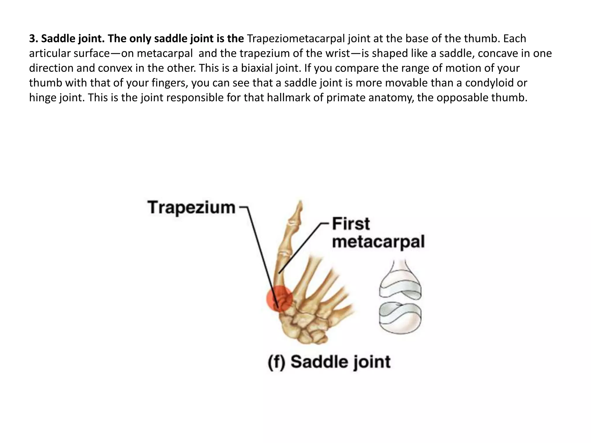 trochlea of humerus
